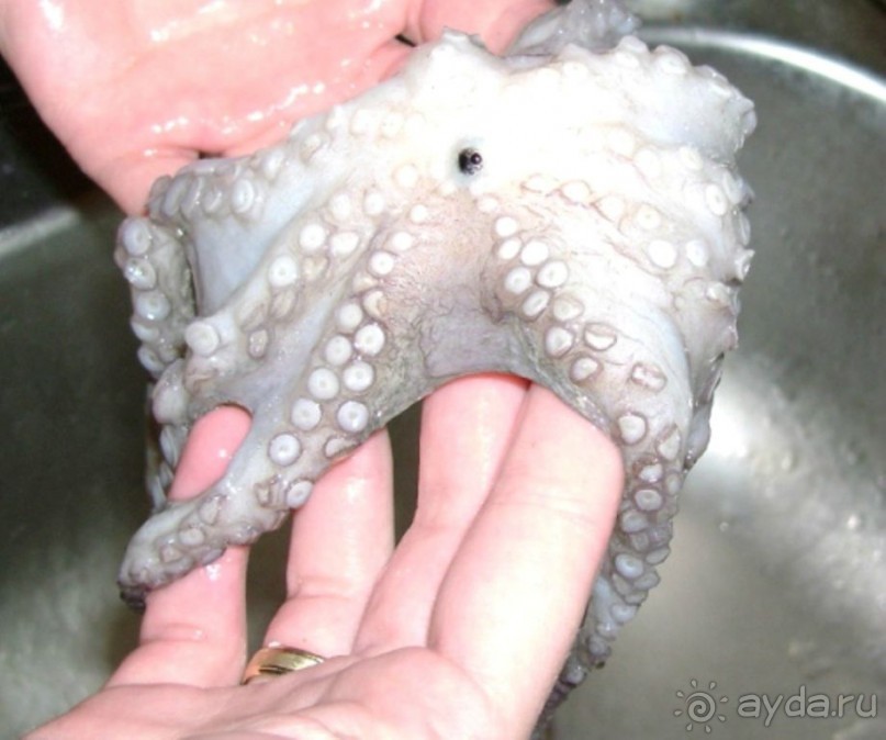 Хорватия. Маленькие зарисовки.