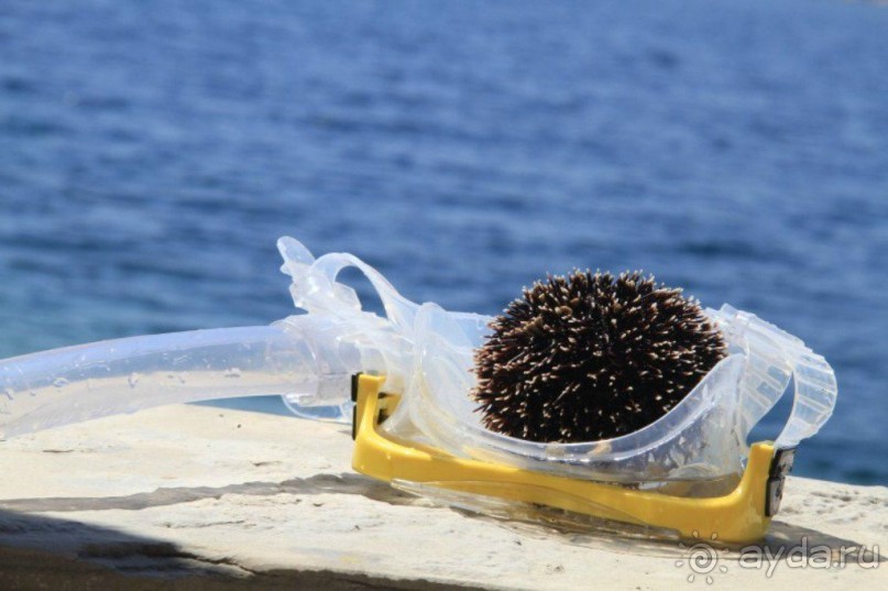 Хорватия. Маленькие зарисовки.