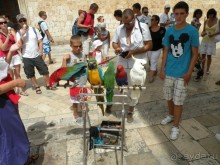 Хорватия: каскад осенних впечатлений 