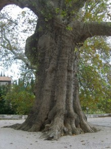 Хорватия: каскад осенних впечатлений 