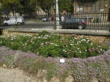 Хорватия: каскад осенних впечатлений 