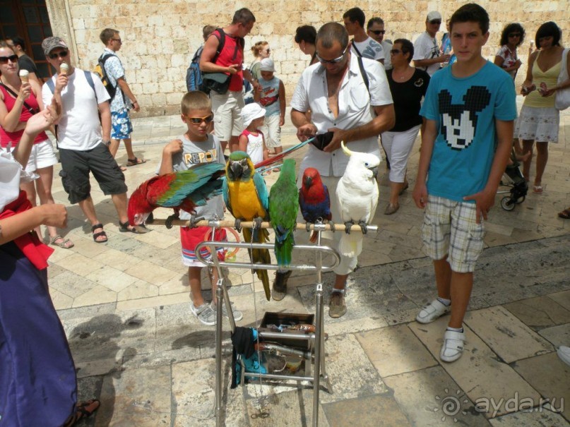 Хорватия: каскад осенних впечатлений 