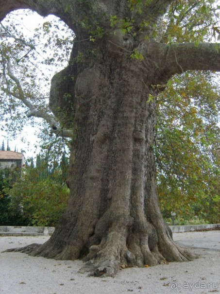 Хорватия: каскад осенних впечатлений 