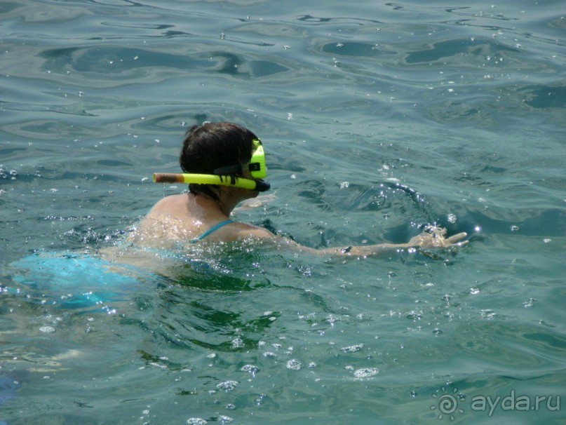 Ах, как хочется вернуться…