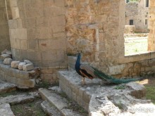 Ах, как хочется вернуться…