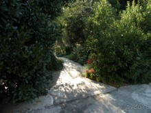 Ах, как хочется вернуться…