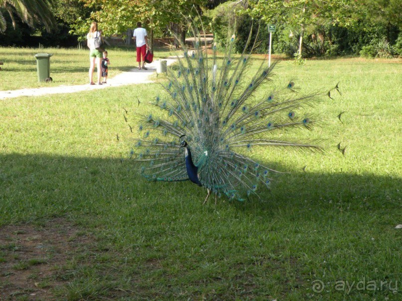 Ах, как хочется вернуться…