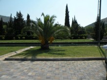 Ах, как хочется вернуться…