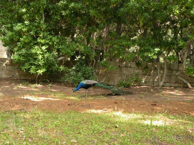 Ах, как хочется вернуться…