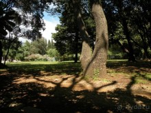 Ах, как хочется вернуться…