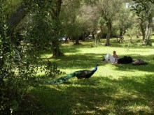 Ах, как хочется вернуться…