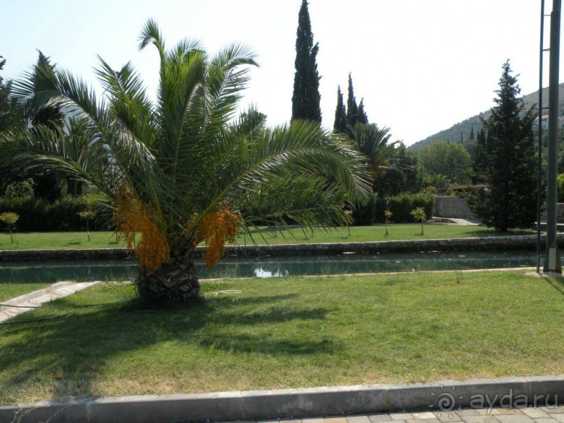 Ах, как хочется вернуться…