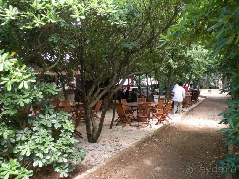 Ах, как хочется вернуться…