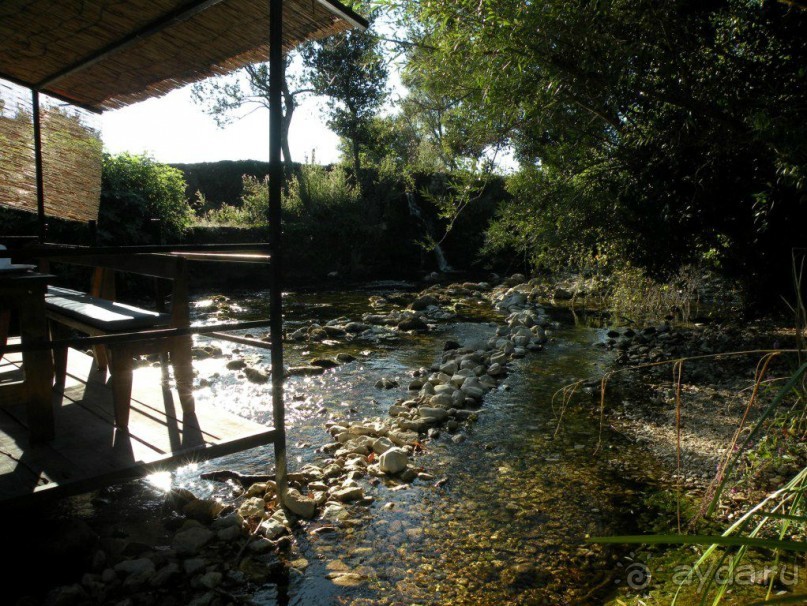 Ах, как хочется вернуться…