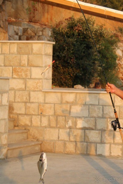 Ах, как хочется вернуться…