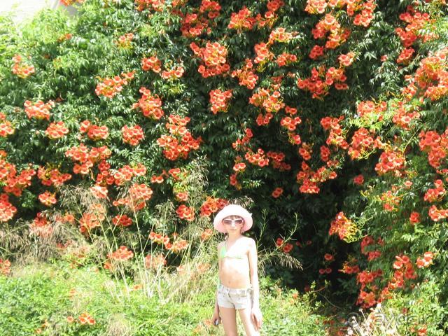 фото Alara Park & Residence Hotel