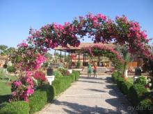 Отлично откисли с ребенком на НГ !