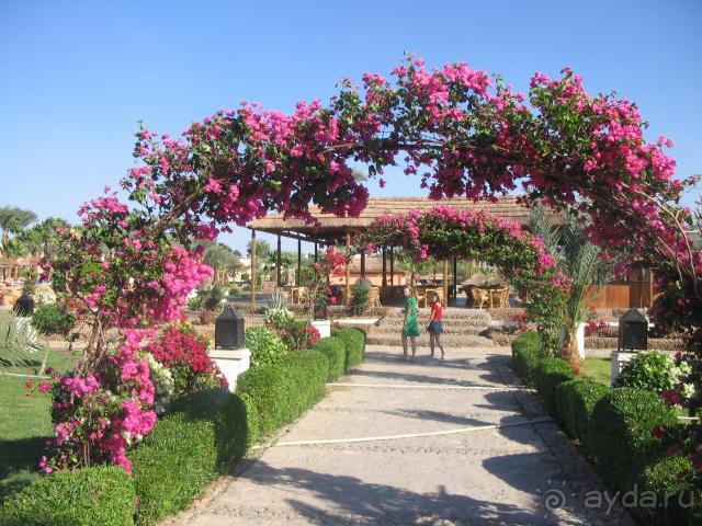 фото Mount Lavinia