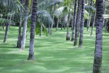  На Тенерифе самостоятельно. Часть первая. Север.