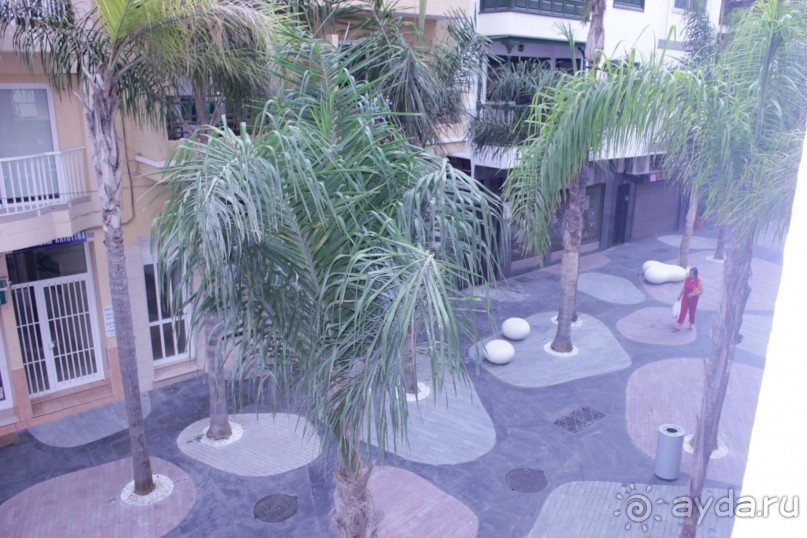  На Тенерифе самостоятельно. Часть первая. Север.