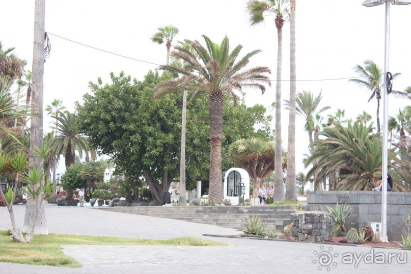  На Тенерифе самостоятельно. Часть первая. Север.