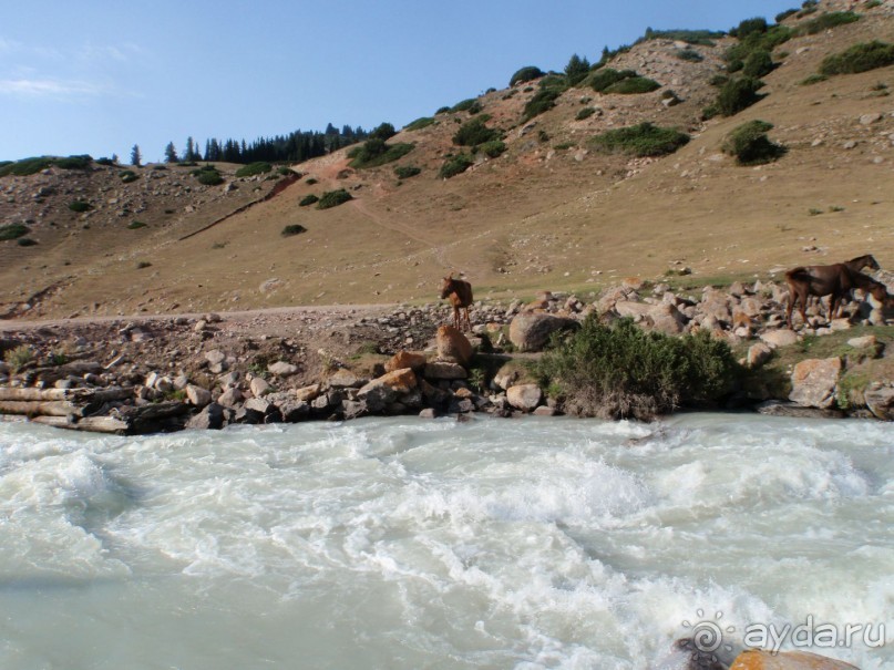 Лечение в Киргизии