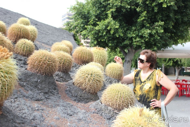 Самостоятельно на Тенерифе. Часть вторая. Юг