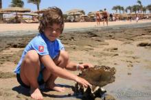 Сказка в которую обязательно вернусь...