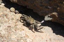 Сказка в которую обязательно вернусь...