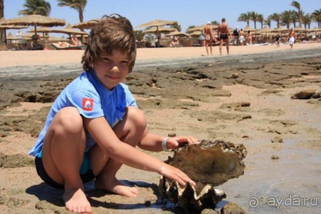 Сказка в которую обязательно вернусь...