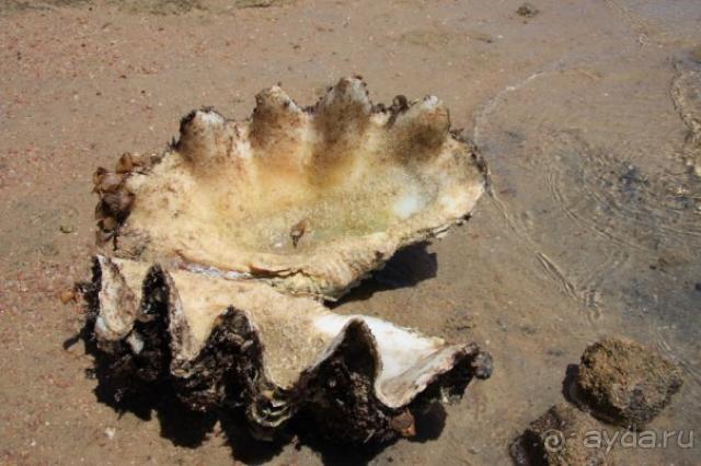 Сказка в которую обязательно вернусь...