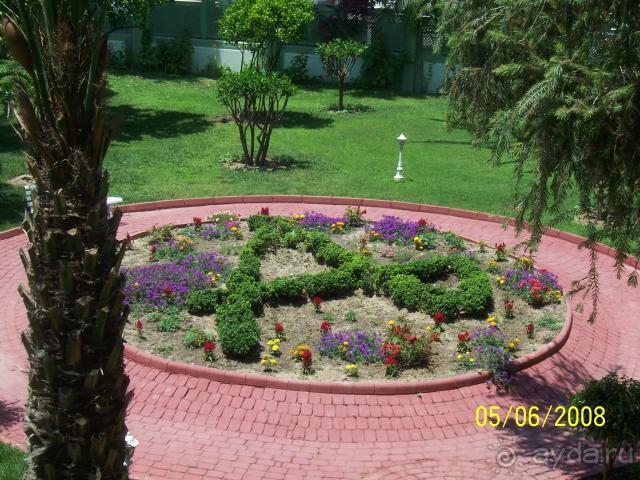 фото Ananas Hotel