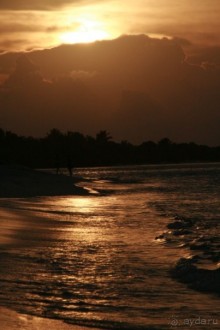 фото Sun Island Resort & Spa