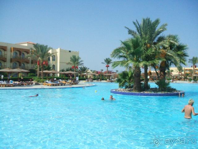 фото Desert Rose Resort