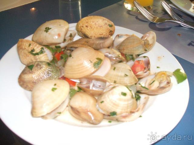 фото Desert Rose Resort