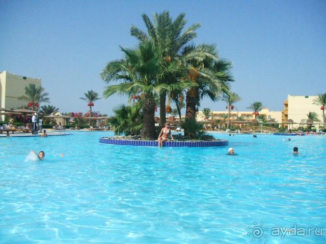 фото Desert Rose Resort