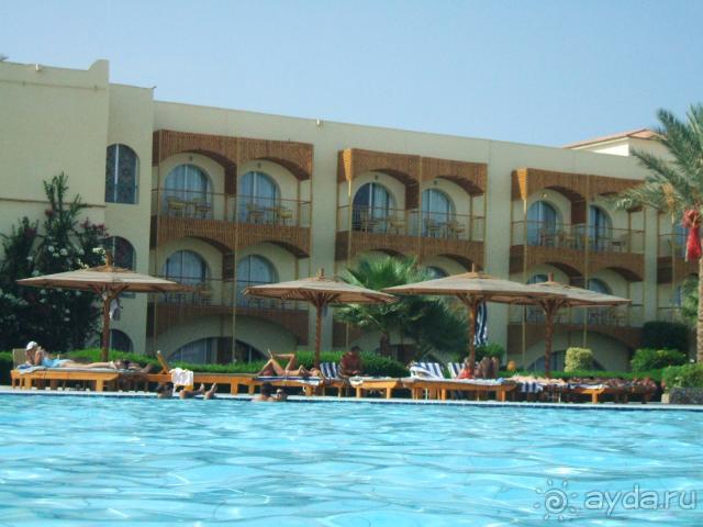 фото Desert Rose Resort