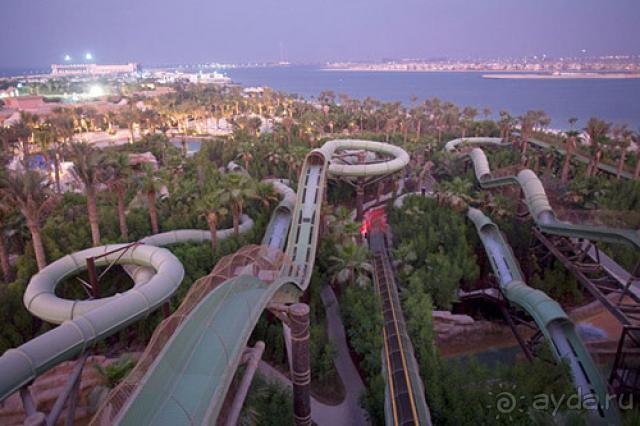 фото Atlantis The Palm