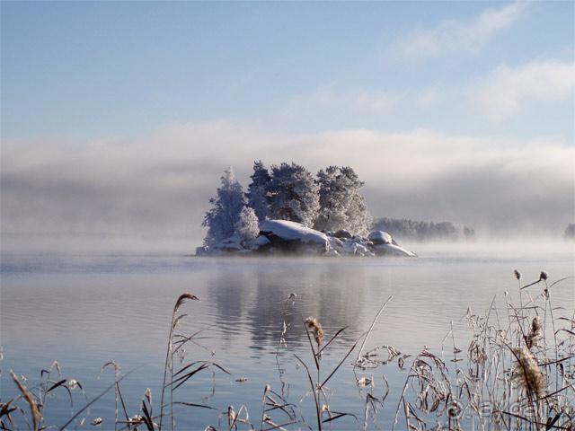 Saukonsaari