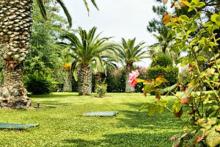 фото Kassandra Palace Hotel & Spa