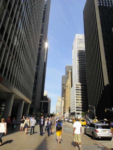 США Восточное побережье на авто