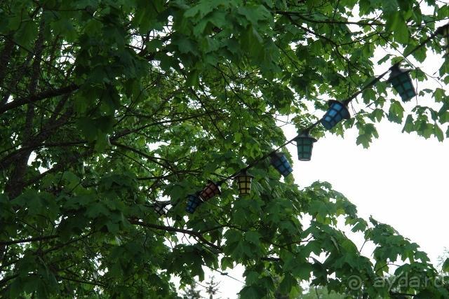 фото Saman Villas