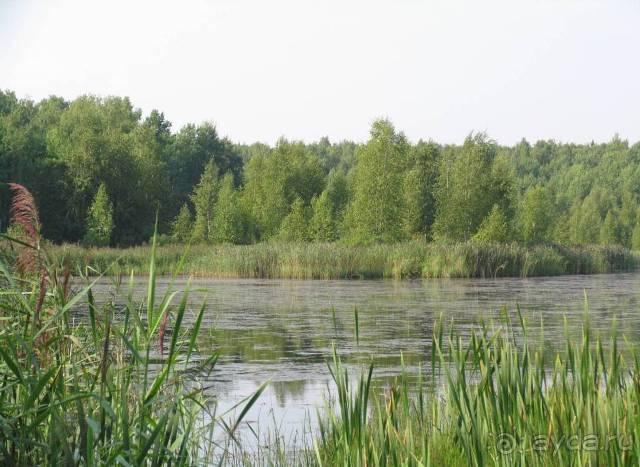 фото Saman Villas