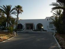 фото Meninx