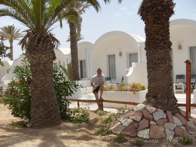 Пальмы,кусты,цветы...