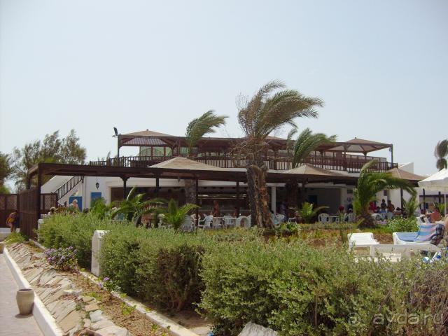 Вид на бар с терассой у бассейна