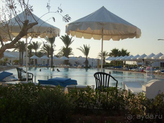 Вечерние виды