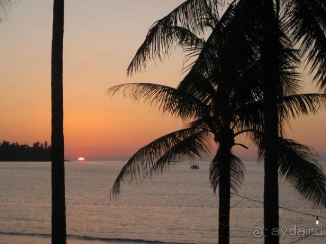 фото Палангос Ветра