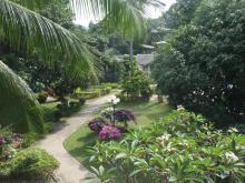 Рай на земле! отель и 3, и 4, и 5 звезд!