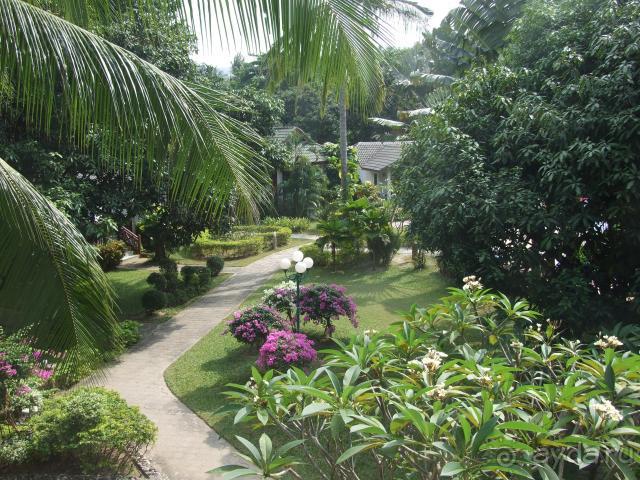 Рай на земле! отель и 3, и 4, и 5 звезд!